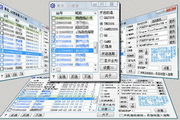 勇芳_登录器