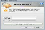 FileLockProfessional