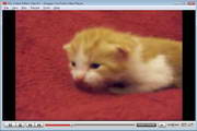 YouTubeVideoPlayer
