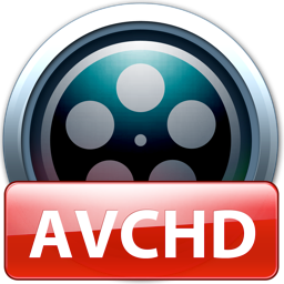 ElecardAVCHDPlayer