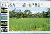 PhotoStampRemoer