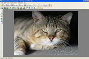 POSFREEPHOTOEDITOR