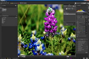 CorelAfterShotPro