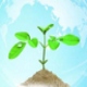 利康医药进销存管理系统官方版下载