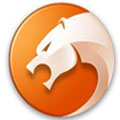金山猎豹浏览器下载