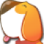 MSN宠物遛遛