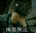 变形记陈新颖表情包