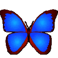 bkViewerWin7Win10专用版