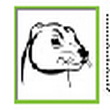系统优化PCFerret