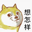 单身狗斜眼QQ表情包